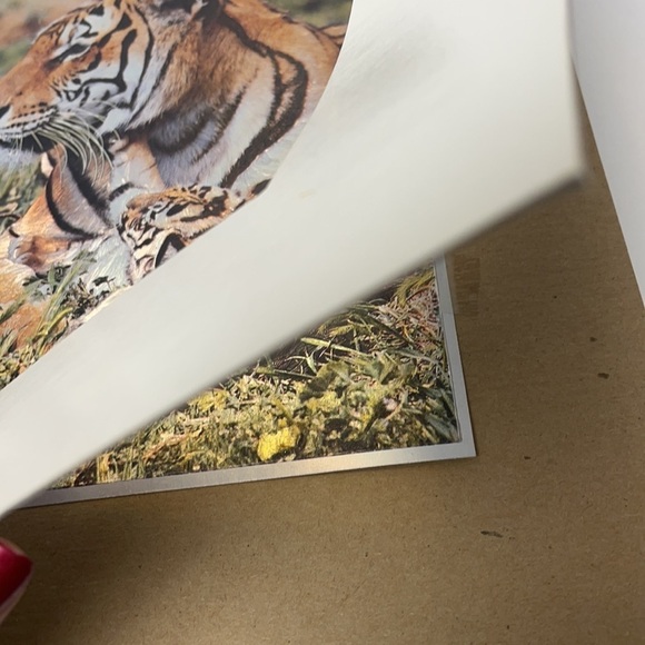 1980’s Print Holographic Foil Of Mother Tiger Baby - Picture 4 of 6
